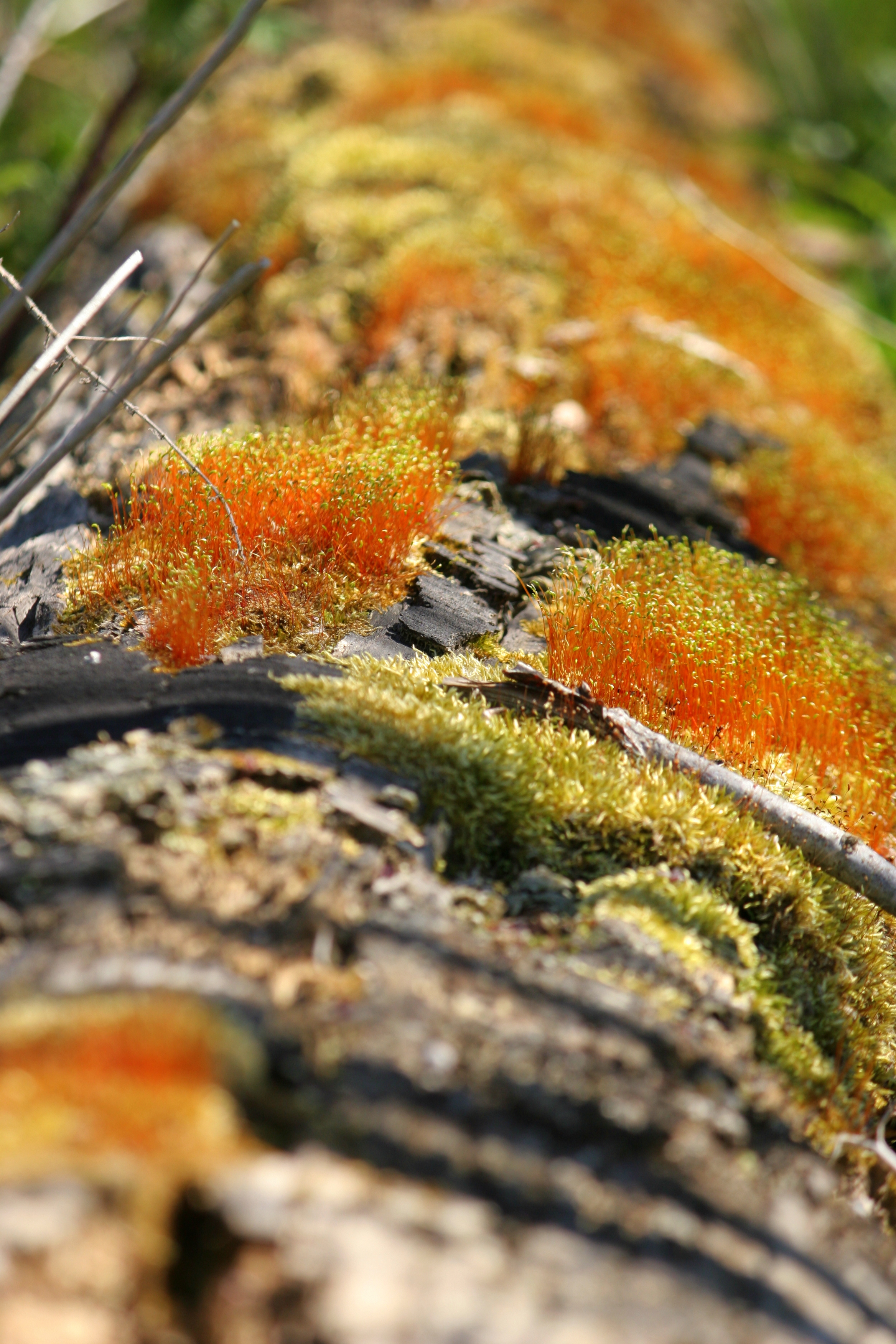 laying down with you