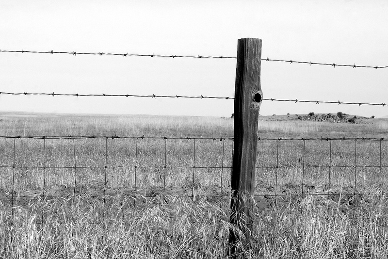 I write notes and letters