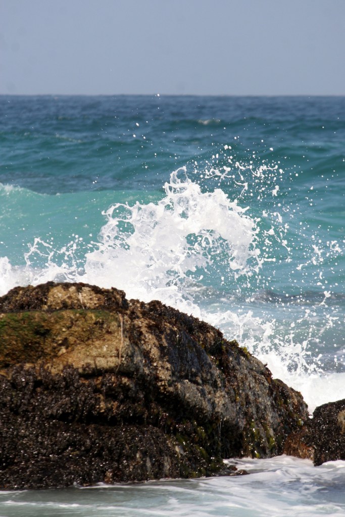 sister of the small people