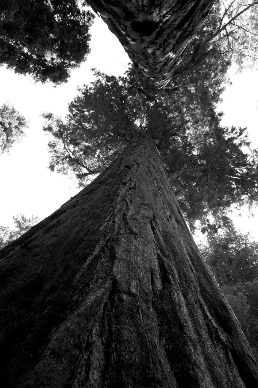 you breathe in the sky