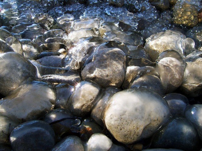 2399500426_3a8dae4fe8_b