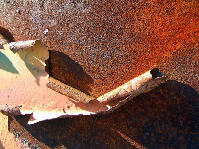 262792_10151322274893588_922802124_n