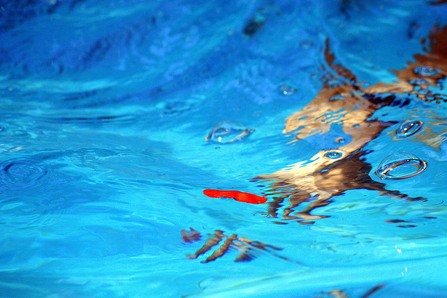 2822304784_c86ba931c4_z