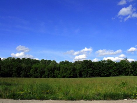 4699643926_2db805daac_b