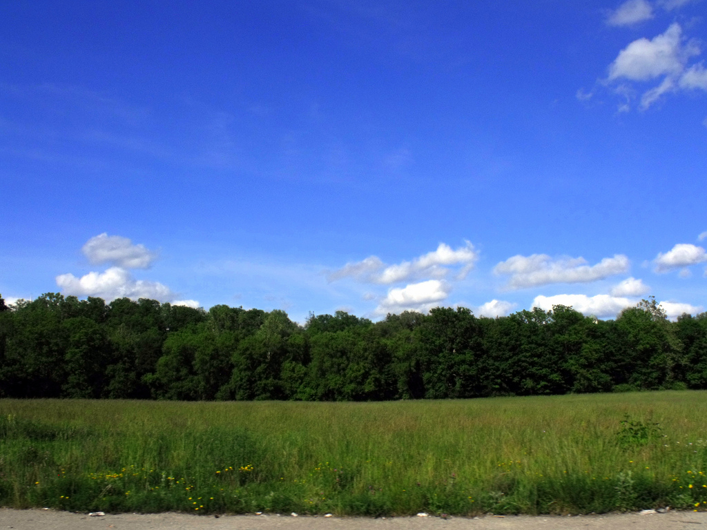 4699643926_2db805daac_b