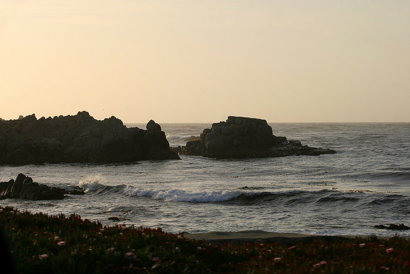 7266556270_c427fd5760_c