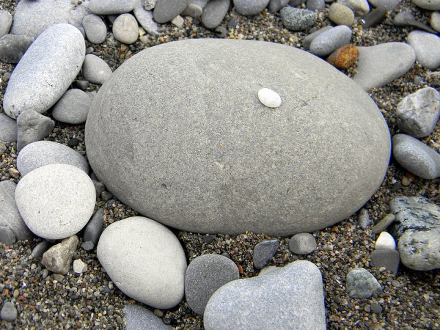 7397900132_2dfd2a1864_c