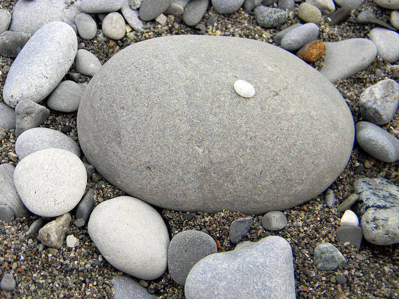 7397900132_2dfd2a1864_c