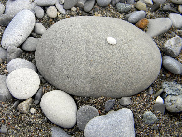 7397900132_2dfd2a1864_c