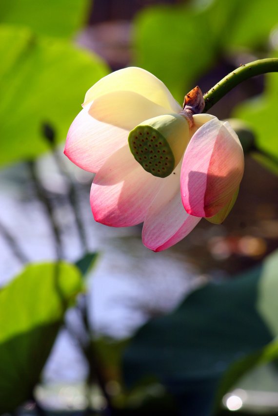 3059538953_9f4cc51091_o