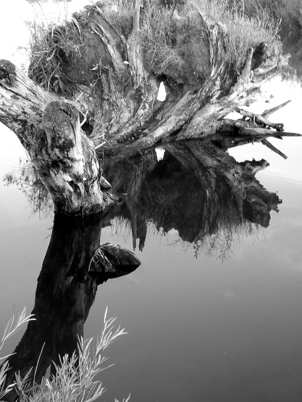 2757929759_f79052b4f8_b