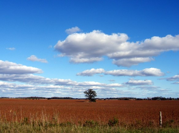 3059503833_27970d0880_b