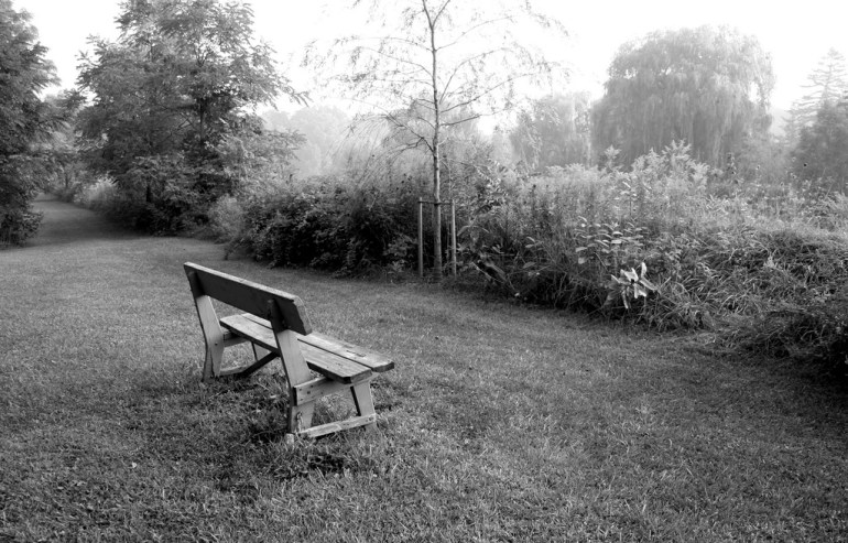 6108513889_03056c077f_b