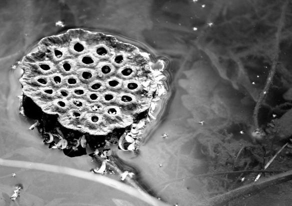 72266_10152423179920514_765138565_n