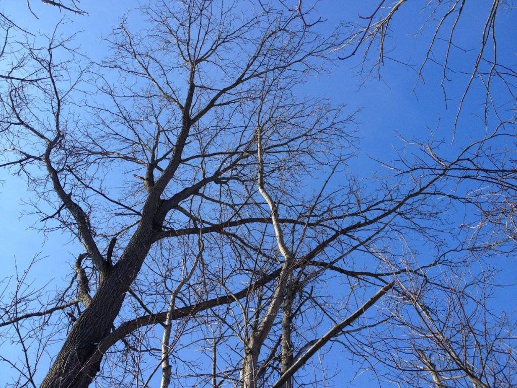 1074697_10156575525810514_3958354551296439241_o